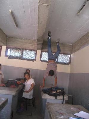 ayoub